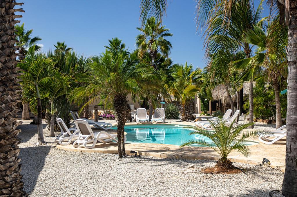 pool_met_enkele_dadelpalm.jpg